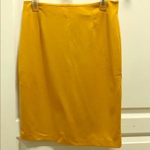 Mustard Yellow Knee Length Skirt